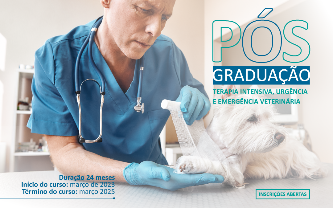 Pós-Graduação Veterinária em Terapia Intensiva, Urgência e Emergência Veterinária