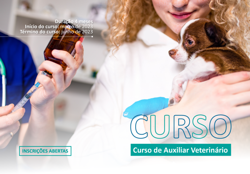 Curso De Auxiliar Veterinário Pet Care Educa Hospital Veterinário